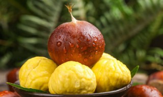 山栗子怎么存放 怎样保存山栗子