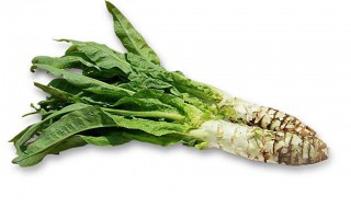 莴笋怎么保存放的久 莴笋存放久的方法