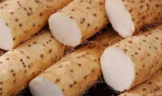 山药怎么存放 存放山药的方法