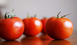 西红柿怎么存放至冬天 保存西红柿的方法