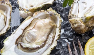 生蚝怎么存放 保管生蚝的步骤