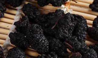 桑葚干怎么保存 储存桑椹干的方法