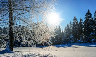 有关描写阳光下冬天的句子 描写冬日阳光的句子