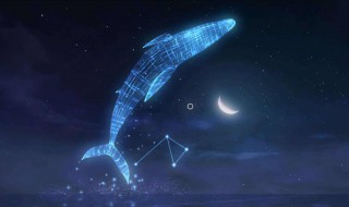 关于星辰大海的唯美文案 关于星辰大海的唯美文案有哪些