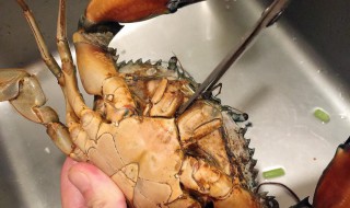 怎样清理螃蟹 清洗螃蟹的方法