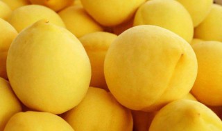 黄桃吃多了会怎样 黄桃吃多了不适症状介绍