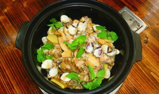 白贝焖大鱼怎么做 白贝焖大鱼的做法