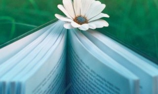 关于自立的句子 关于写自立好句子