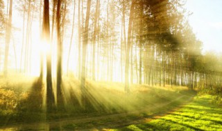 关于保护环境句子 有关保护环境的句子范例