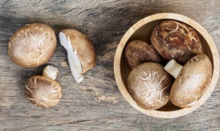 香菇肉酿怎么做 香菇肉酿的做法