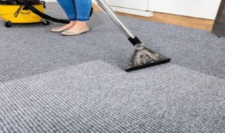 地毯日常清洁方法 清洗地毯的方法