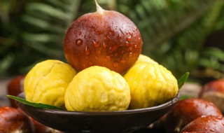 栗子蛋糕的做法教程 怎么做栗子蛋糕