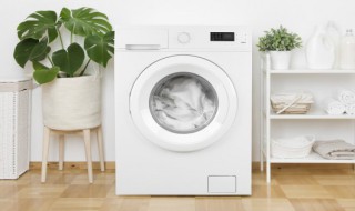 洗衣机干洗功能怎么用 洗衣机干洗功能的用法