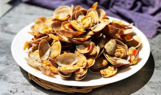 辣炒蚬子如何做 辣炒蚬子做法介绍