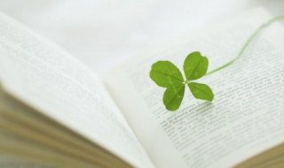 入乡随俗是什么意思 入乡随俗的成语典故