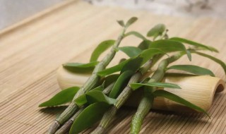 怎样食用石斛 食用石斛方法介绍