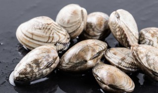 蛤蜊苦菜心汤怎么做 蛤蜊苦菜心汤的烹饪方法