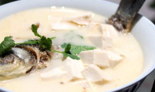 鲫鱼做汤怎么做好吃 鲫鱼做汤做法介绍