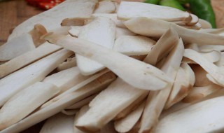 卤汁拌杏鲍菇怎么做 卤汁拌杏鲍菇的做法介绍