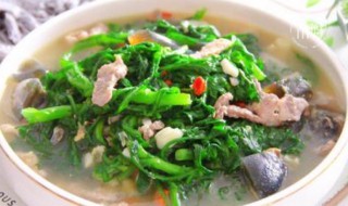 茼蒿汤怎么做 茼蒿汤的做法介绍