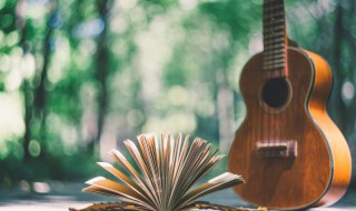 新手吉他38寸教学入门教程 新手怎么学吉他呢