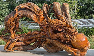 树根怎么保存不开裂 树根怎么保存不开裂介绍