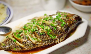 尖椒蒸罗非鱼怎么做 尖椒蒸罗非鱼的做法分享