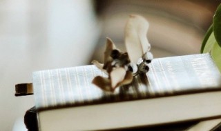 仁至义尽是什么意思 仁至义尽释义说明