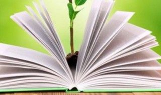 圣诞节贺卡英文祝福语 圣诞贺卡英文祝福语集锦