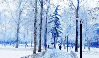 有关雪的优美句子 描写雪的优美句子大全