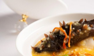 煮好的海参怎么保存 存储海参的方法