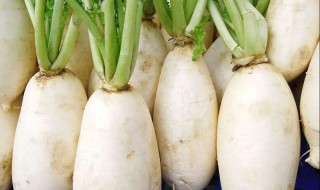 吃萝卜的好处 吃白萝卜有什么作用