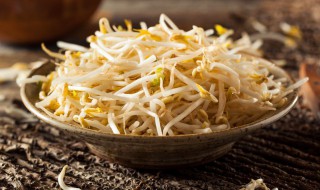 绿豆芽怎么保存鲜 如何保存绿豆芽