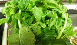 萝卜叶子怎么做好吃 怎么做萝卜叶子好吃