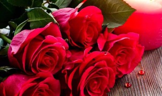 送12朵玫瑰花代表什么 不同颜色的玫瑰花代表的意思