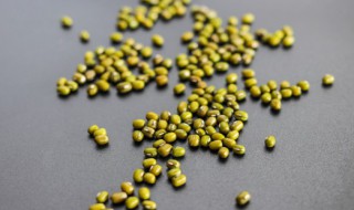 怎样种绿豆 种绿豆的方法