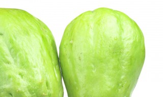 北方佛手瓜根怎样过冬 佛手瓜根过冬的技巧是什么