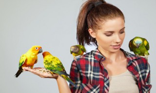 正确的遛鸟方法 正确的遛鸟方法介绍