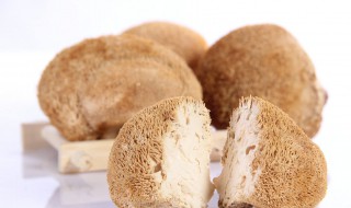 猴头菇功效与作用禁忌 猴头菇怎样吃才能养胃