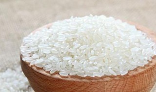 大米的功效与作用禁忌 大米的功效和注意事项介绍