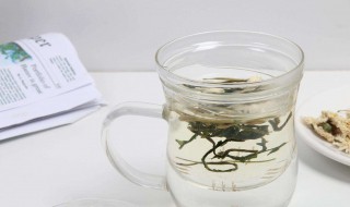 干桑叶茶的功效与作用 干桑叶茶的好处介绍