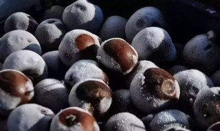 冻梨的功效与作用 冻梨有什么好处