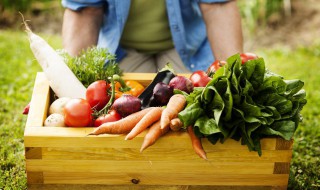 冬吃萝卜的功效和作用 萝卜吃了对人有什么好处