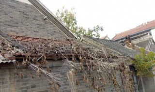 饭圈房子塌了是什么梗 饭圈房子塌了的解释