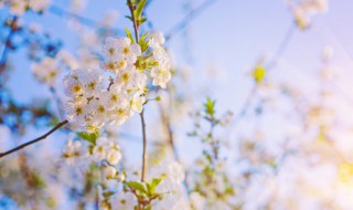 关于天气的句子有哪些 关于天气的句子精选