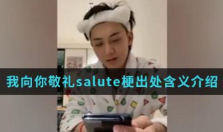 我向你敬礼salute是什么梗 我向你敬礼salute含义