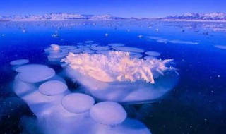 冰泡奇观是怎么形成 冰泡奇观的形成原理