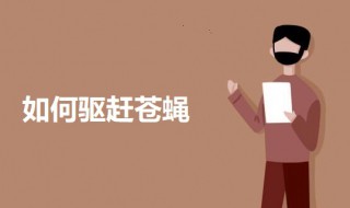 如何驱赶苍蝇 赶苍蝇的方法