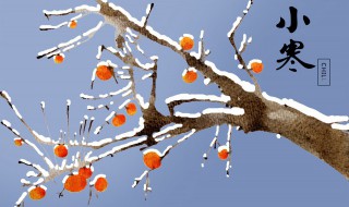 小寒吃饺子吗 小寒节气吃饺子吗