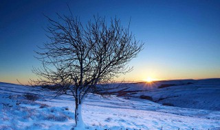 小寒要注意什么 小寒的注意事项